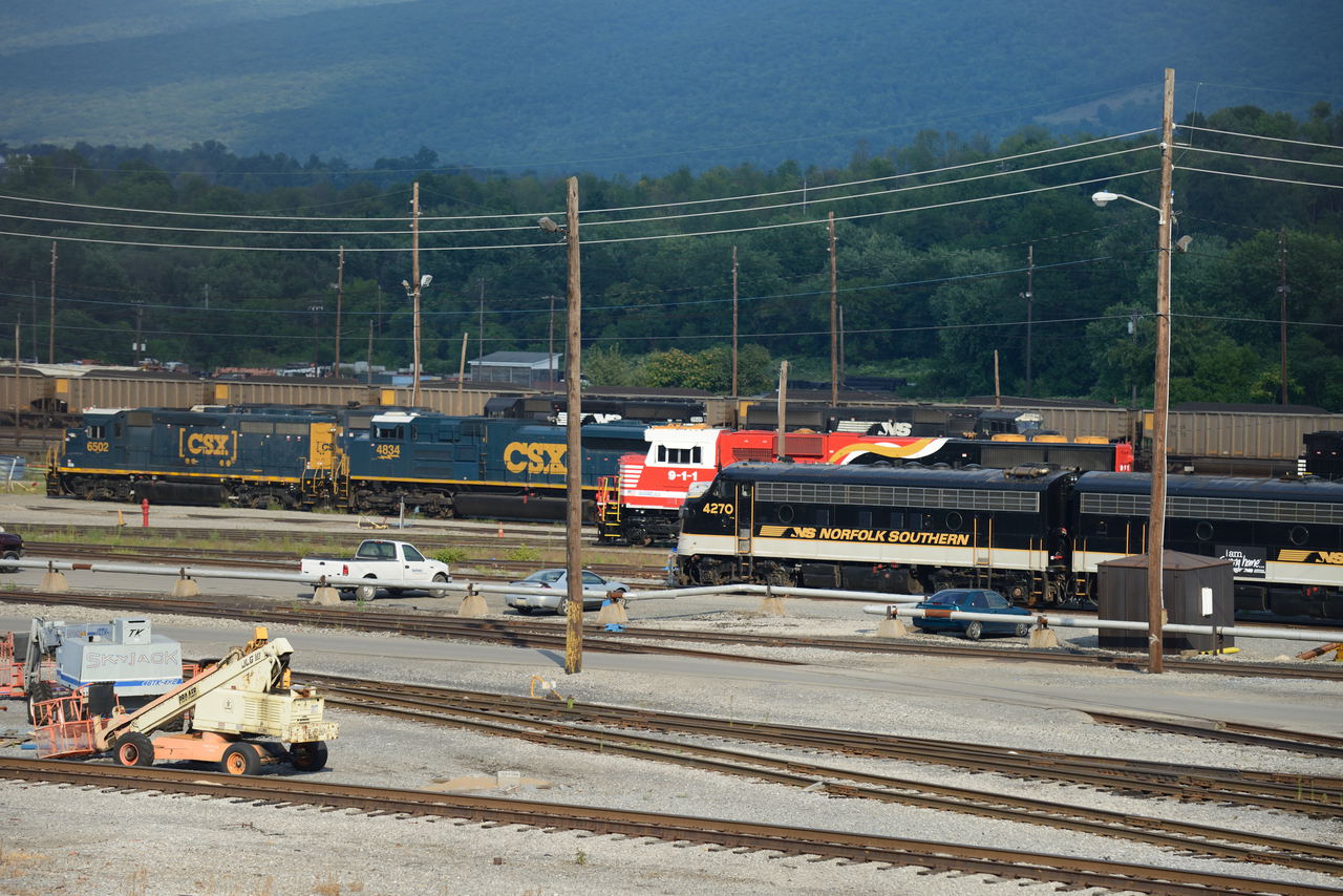 7360x4912 - 4,484,622 bytes