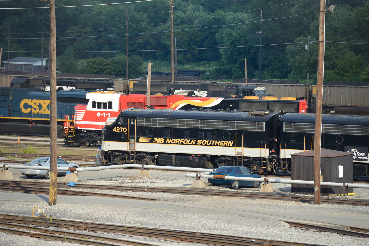 7360x4912 - 4,341,282 bytes