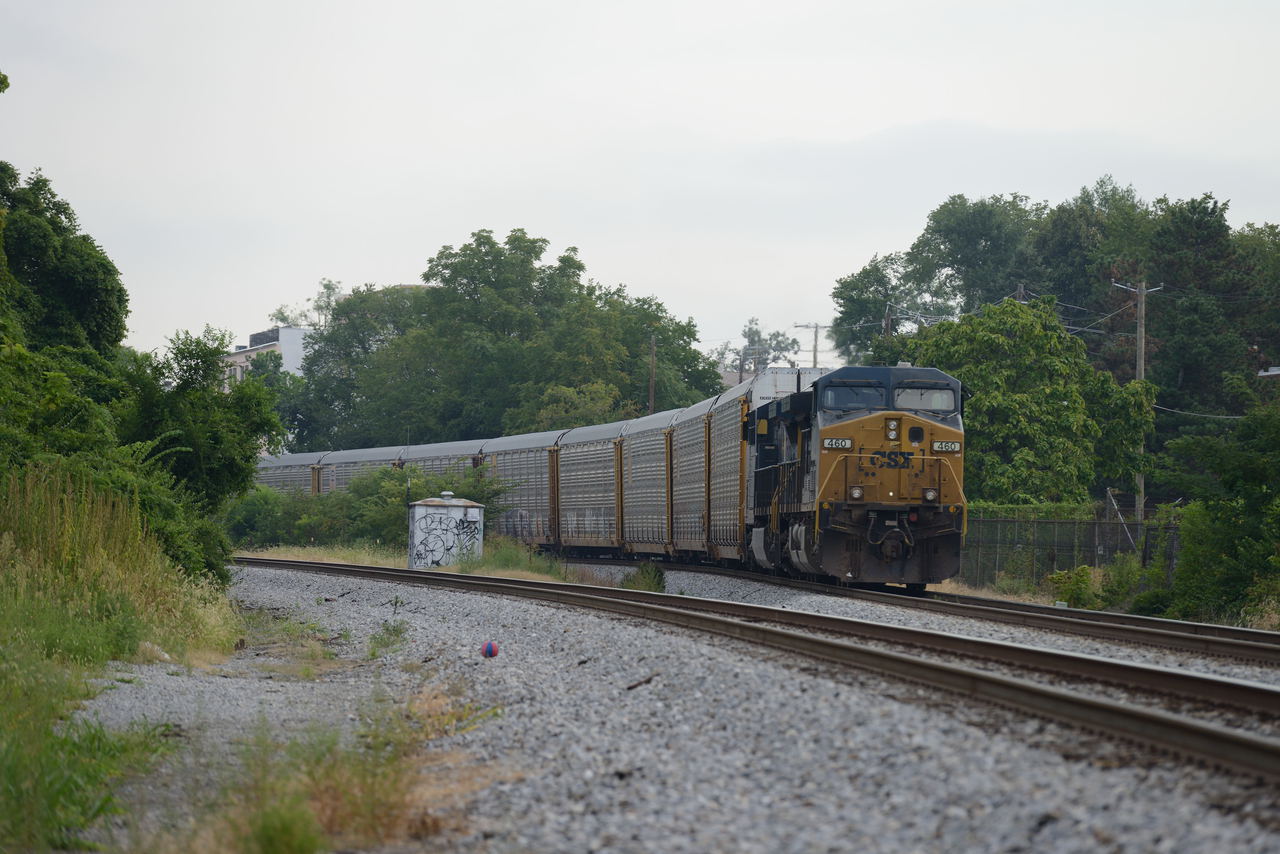 7360x4912 - 3,489,286 bytes