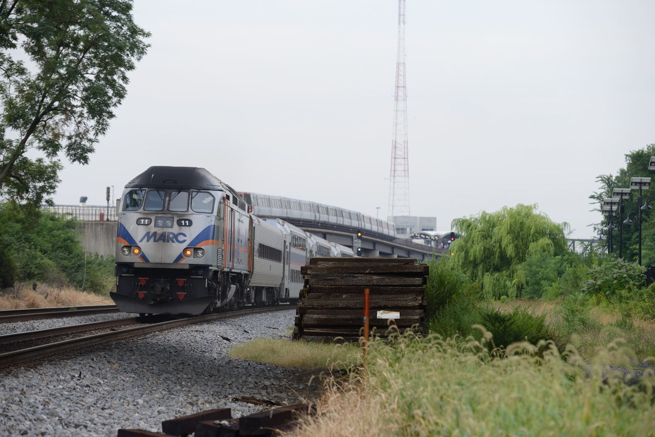 7360x4912 - 3,112,821 bytes