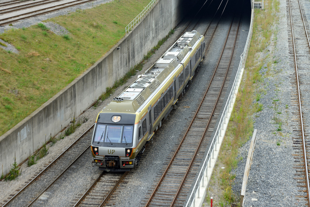 5000x3337 - 3,739,875 bytes